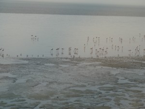 img_1613 img_1613