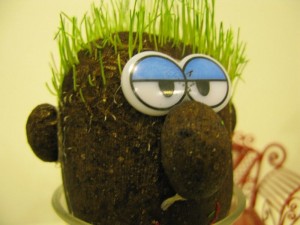 IMG_1280 IMG_1280