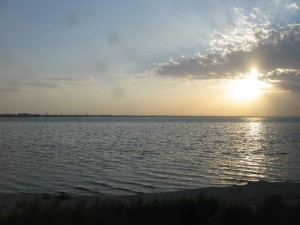 IMG_1291 IMG_1291