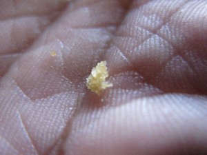 IMG_1304 IMG_1304