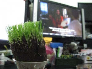 IMG_1314 IMG_1314